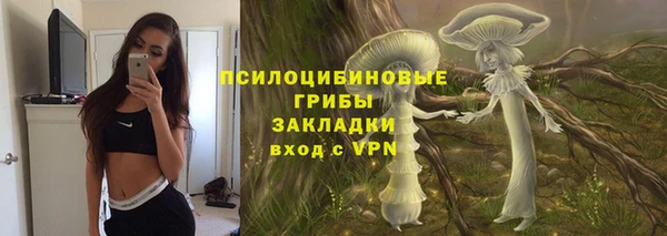 спиды Арсеньев