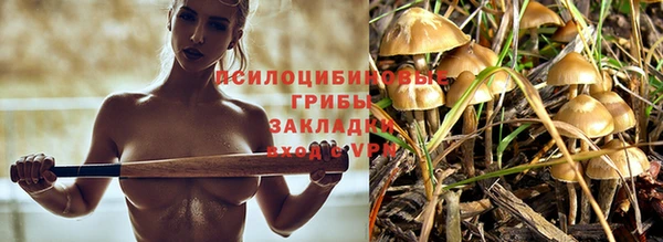 спиды Арсеньев