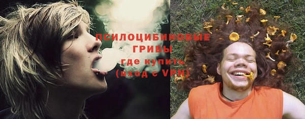 ALPHA PVP Армянск